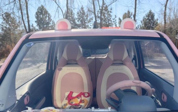 小马用车半年，省钱省心是王道，生活半径悄悄扩大-有驾