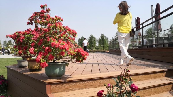 垃圾分类越细价值越高？废旧衣物携手塑料率先说不