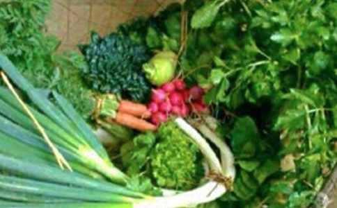 健康的宣传语集合