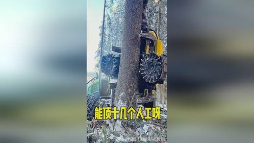 这都能顶十几个人干活了