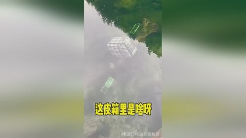 这皮箱里到底是啥呀？