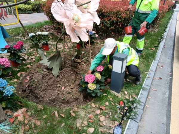 吴中区室内园林绿化养护方案,园林绿化