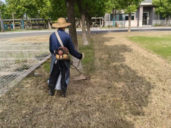 高新区室内园林绿化项目,园林绿化