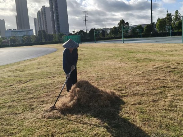 高新区室内园林绿化服务,园林绿化