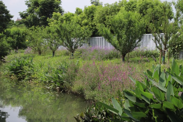 室内园林绿化施工,园林绿化