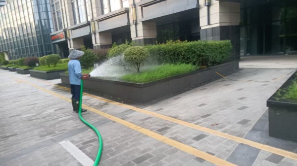 室内园林绿化施工,园林绿化