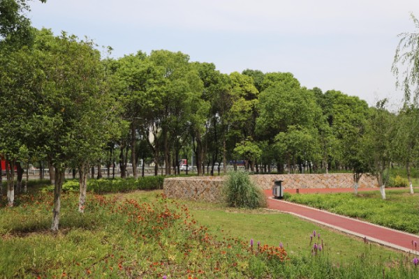 高新区室内园林绿化项目,园林绿化