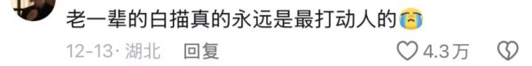 “人怎么可能对一块石头产生感情呢……”