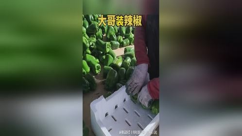 大哥装辣椒，只有一层