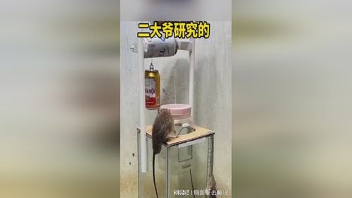 二大爷研究的，捕鼠神器