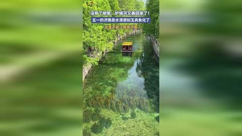 没有了柳絮，护城河又美回来了！五一的济南泉水清澈如玉具象化了