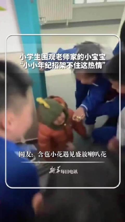 博主分享春节清洁妙方助窗明几净迎新年
