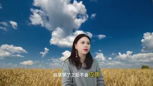 如何在学习之后高效应用？