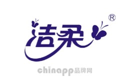 抽纸十大品牌-洁柔C&S