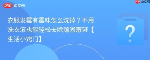 衣服发霉有霉味怎么洗掉？不用洗衣液也能轻松去除顽固霉斑【生活小窍门】