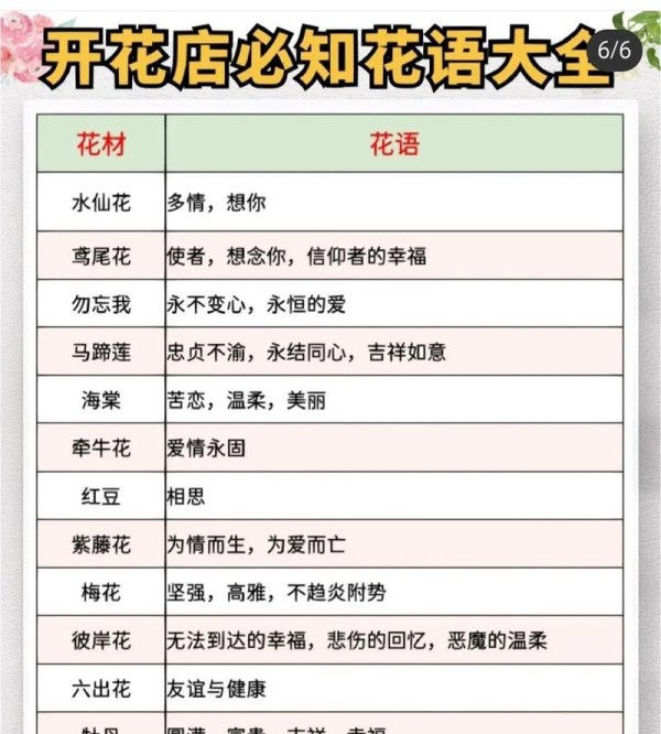 植物室内装饰的意义（为生活带来清新与美好）