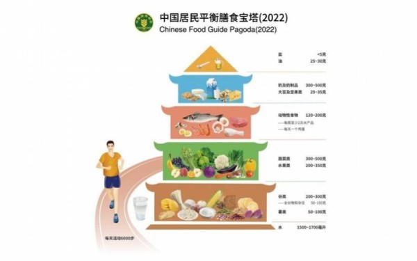 肺部02.jpg