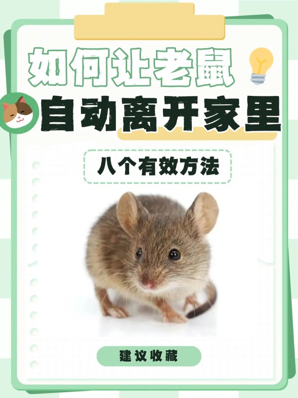 王皮哥：如何让老鼠自动离开家里：八个有效的方法作为一个热爱整洁的人，我常常希望家中能远离老鼠的困扰。老鼠不仅影响生活质量，还可能带来卫生问题。今天，我想分享八个有效的方法，帮助大家自动驱赶老鼠，让它们离开家里！1. 保持环境清洁整齐保持家中清洁是预防老鼠的重要步骤。每天清理食物残渣和垃圾，定期打扫卫生。老鼠喜欢在脏乱的地方活动，干净的环境会使它们失去栖息的吸引力。2. 封闭入口检查家中的缝隙和...