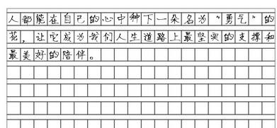 行业协会商会脱钩总结-行业协会脱钩总结