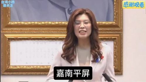 10.14 国民党中常会，郑丽文主席宣布成立助选团，开启大型造势活动