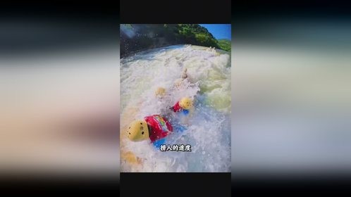 这么刺激的娱乐项目我高低要去一趟。
