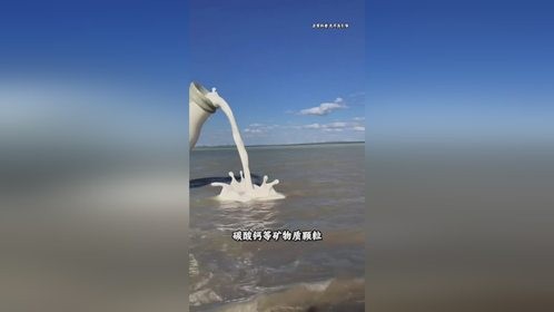 分享危险的水域！野外遇到千万别下去游泳。