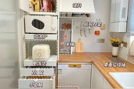 脑洞大开的厨房收纳！4平米小厨房真的没对手！附图纸 今天详细介绍下厨房高柜设计 最后有图纸，直接抄作业 #厨房装修 #厨房收纳 #收纳整理 #好喜欢我的家 #住进我喜欢的家视频封面